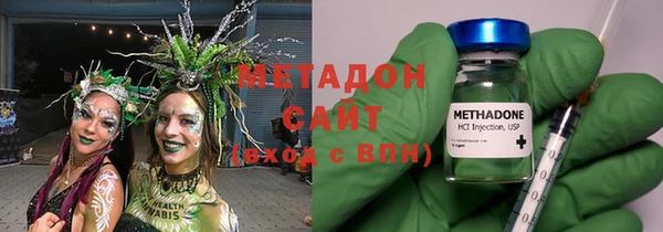 индика Аркадак