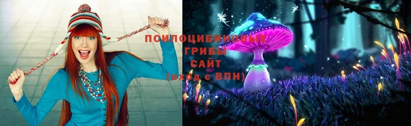 индика Аркадак