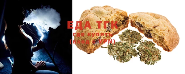 индика Аркадак