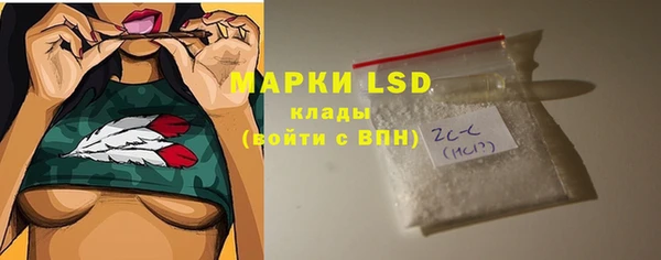 индика Аркадак