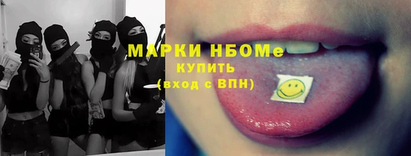 индика Аркадак