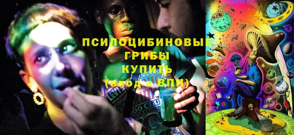индика Аркадак