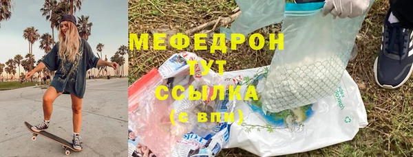 индика Аркадак