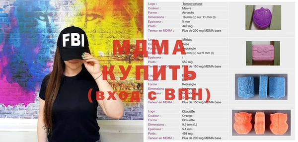 индика Аркадак