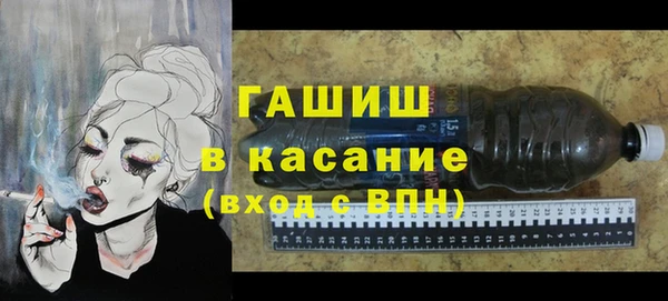 индика Аркадак