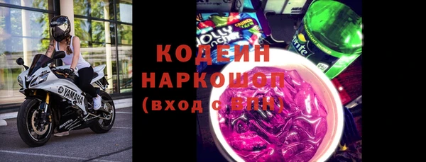 индика Аркадак