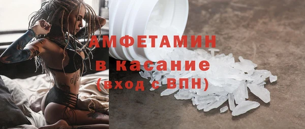 индика Аркадак